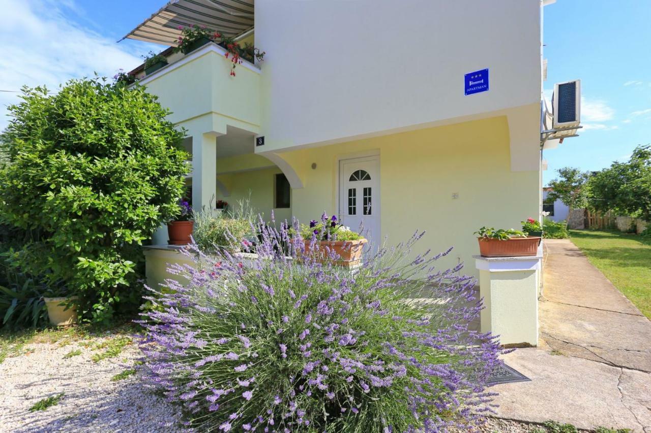 זאטון Apartments Romansa מראה חיצוני תמונה
