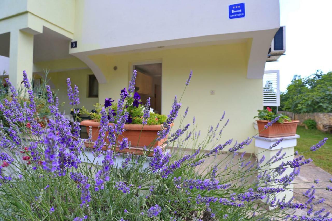זאטון Apartments Romansa מראה חיצוני תמונה