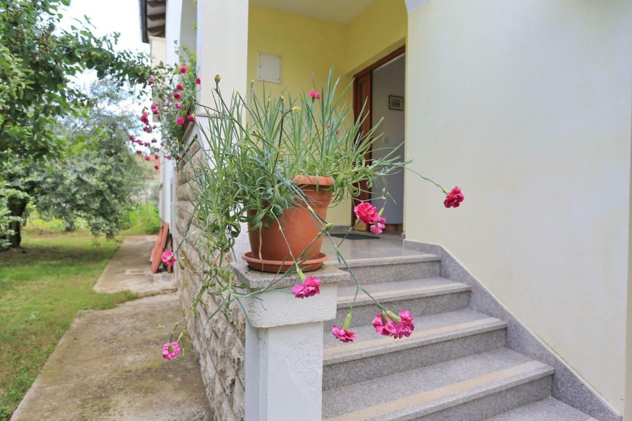 זאטון Apartments Romansa מראה חיצוני תמונה