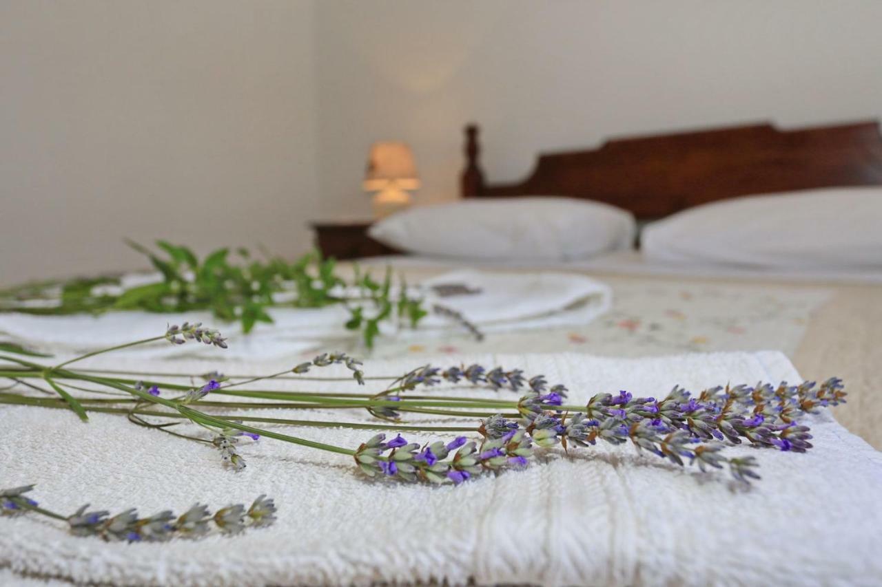 זאטון Apartments Romansa מראה חיצוני תמונה